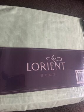 Mint green twin XL sheet set - $15!